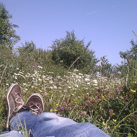 Betere posities in Google zonder problemen