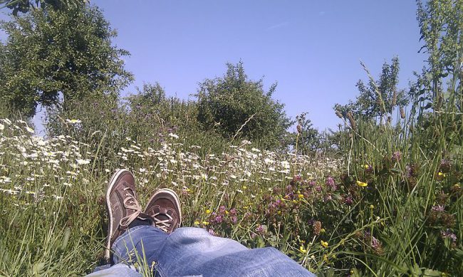 Betere posities in Google zonder problemen