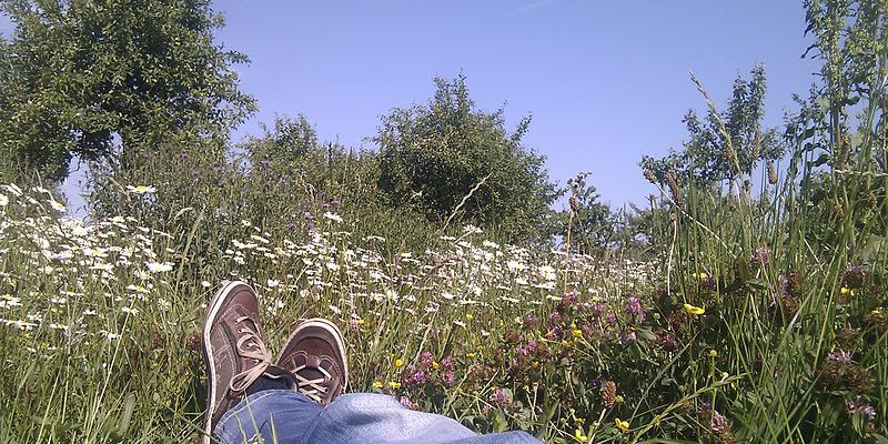 Betere posities in Google zonder problemen